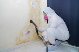 Pimlico, SC Mold Remediation Company